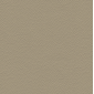 ECP48 - Lino